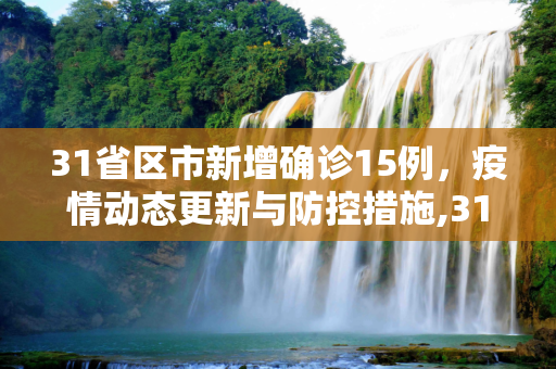 31省区市新增确诊15例，疫情动态更新与防控措施,31省区市新增确诊15例